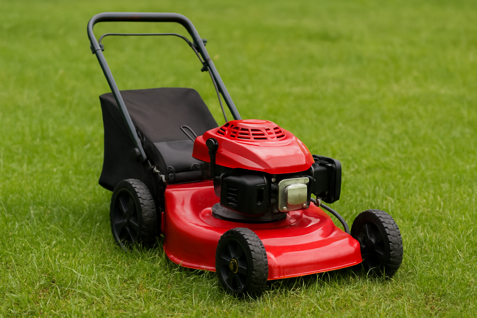 chatgpt image sep 9, 2025, 11 41 38 am